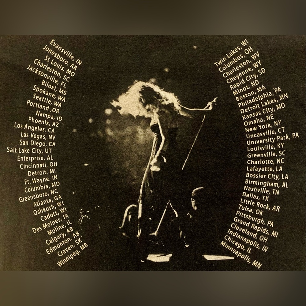 Taylor Swift Fearless 2009 tour shirt - Picture 7 of 10